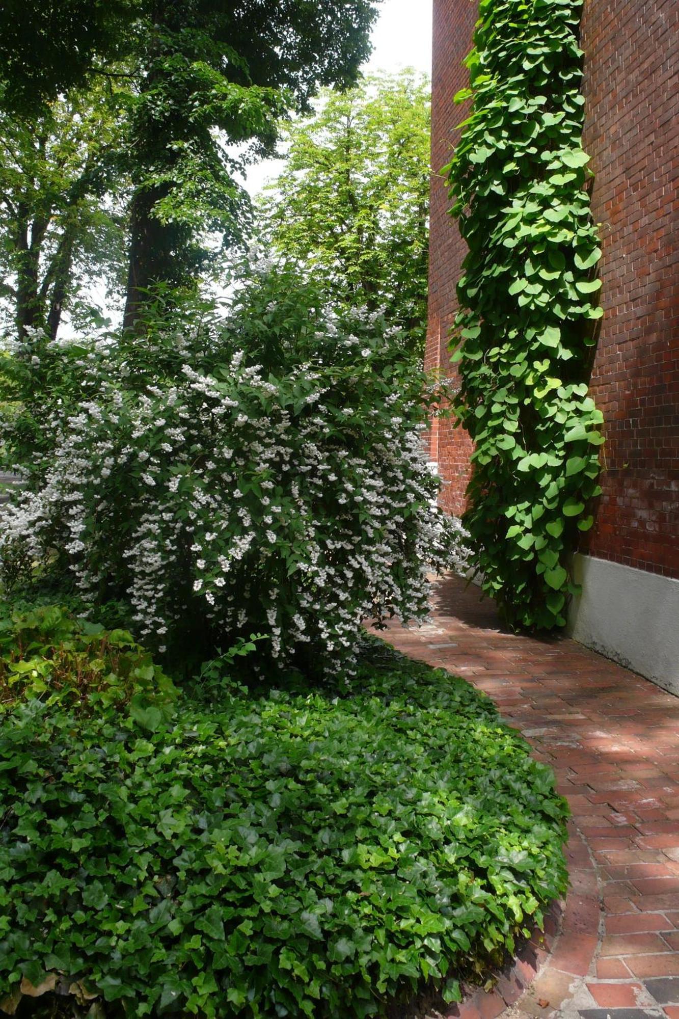Pension Villa Fortuna Lubben Exterior photo